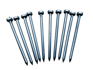 6" Nails, Realistic Builders Nails, Pack of 10