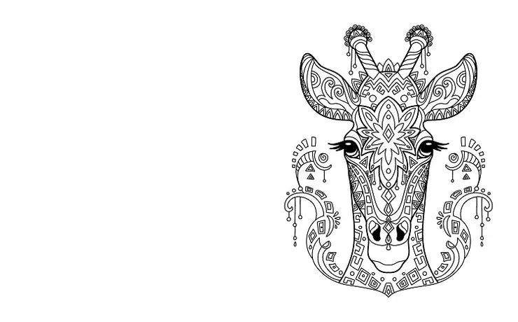 Beautiful Animals Colouring Book