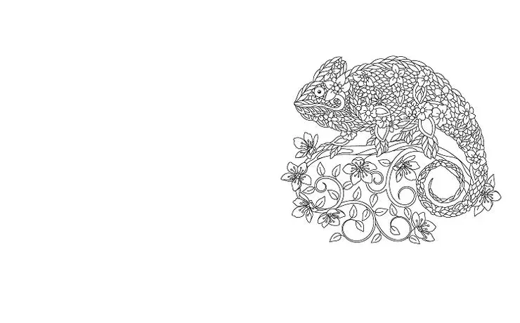 Beautiful Animals Colouring Book