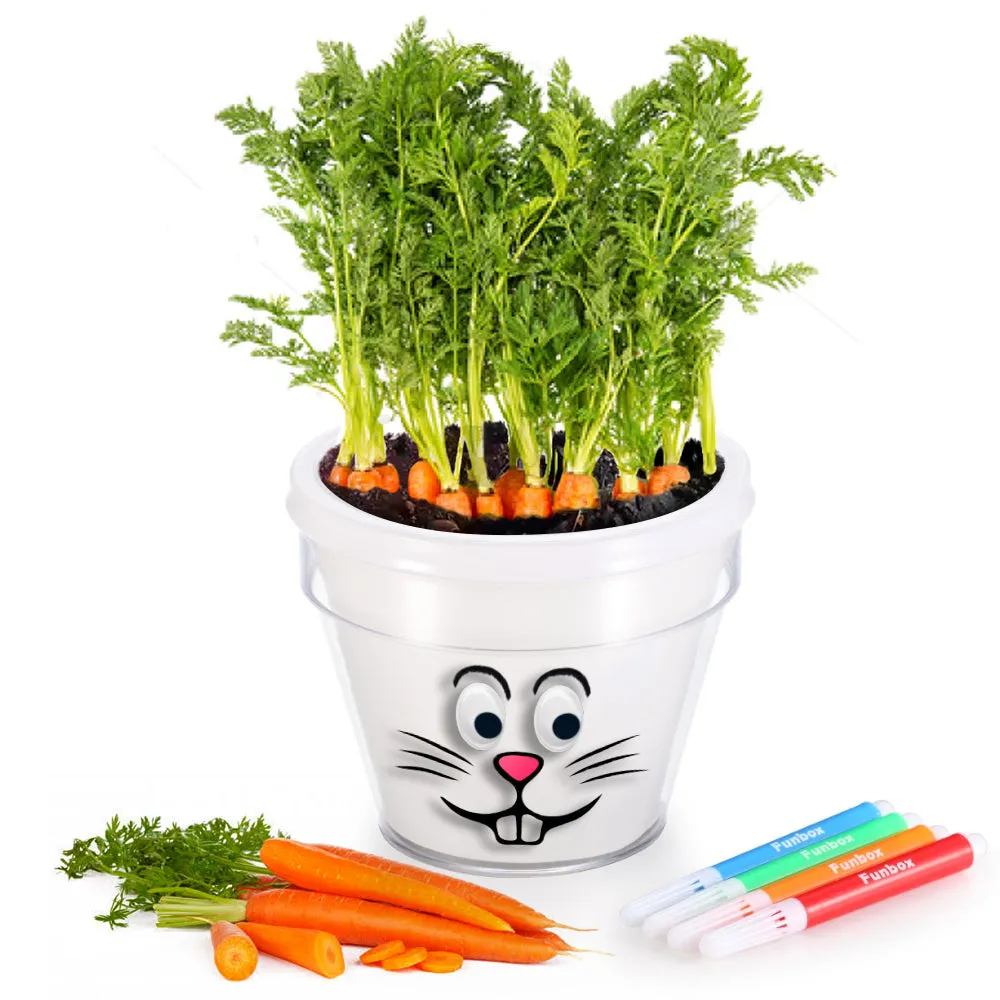 DIY Plant-A-Carrot Pot Kit