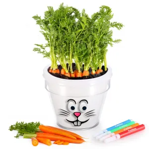 DIY Plant-A-Carrot Pot Kit