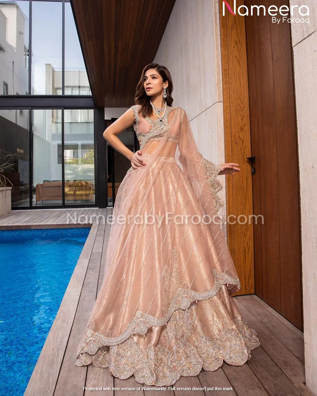 Elegant Lehenga Choli Bridal Clothes Pakistani #BN179