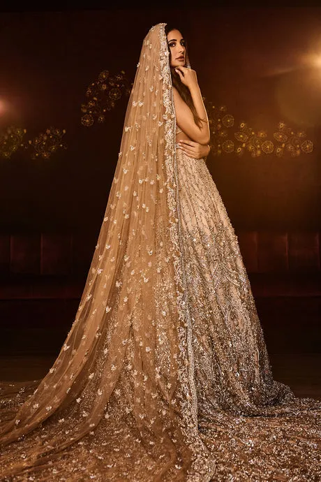 Embellished Long Tail Pakistani Bridal Gown for Wedding