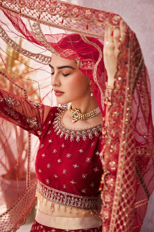 Embellished Red Lehenga Choli and Dupatta Bridal Dress