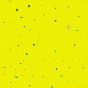 Giucy Giuce Fabric | Scrawl | Motley | Dayglow
