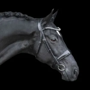 Lumiere Alison Premium Padded Bridle (L14903)