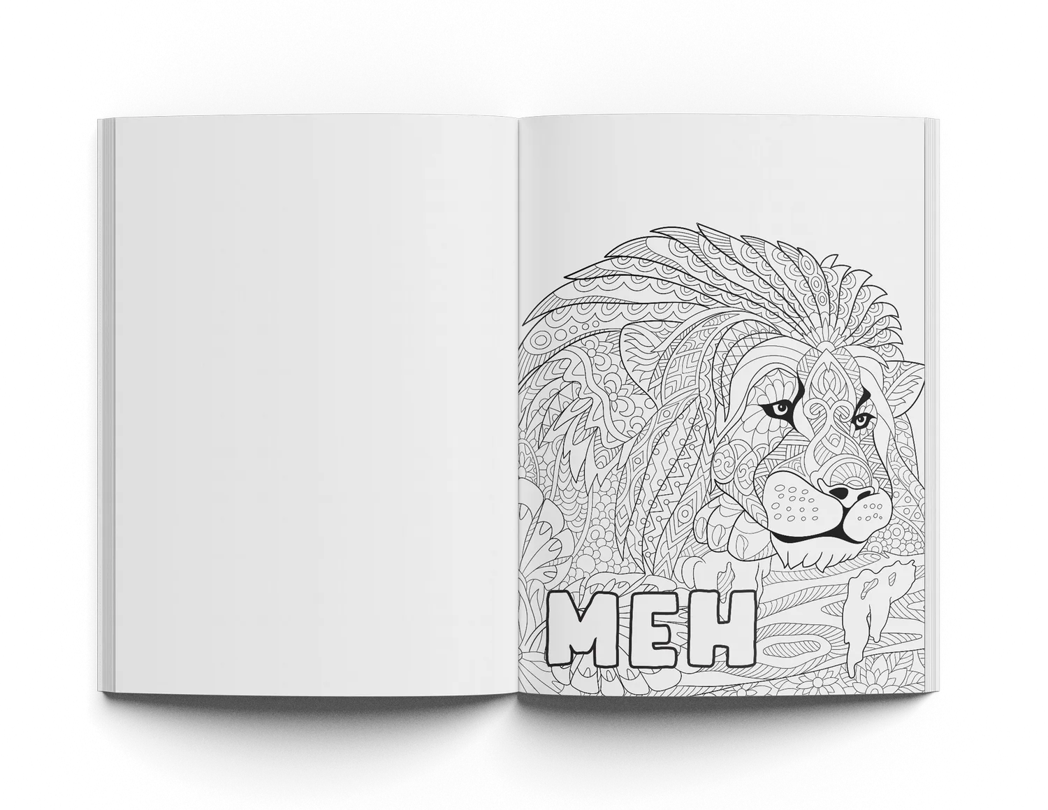 Mood Enhancing Coloring Book Vol 1
