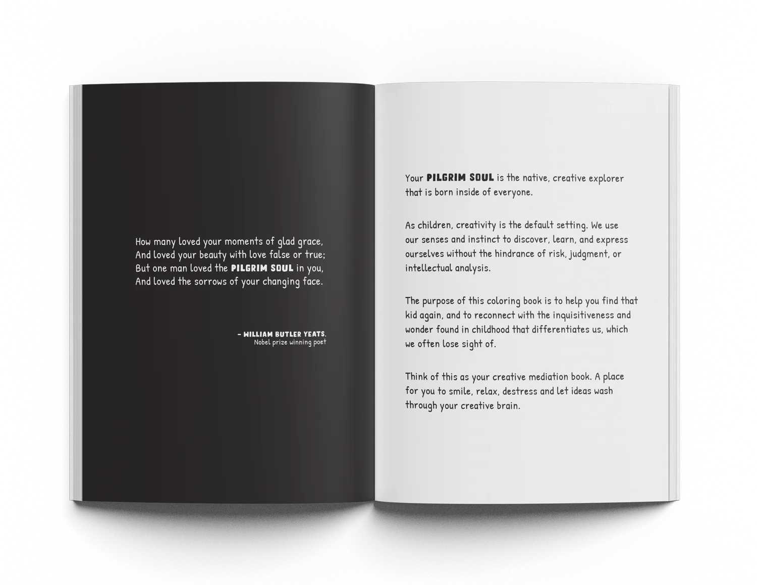 Mood Enhancing Coloring Book Vol 1
