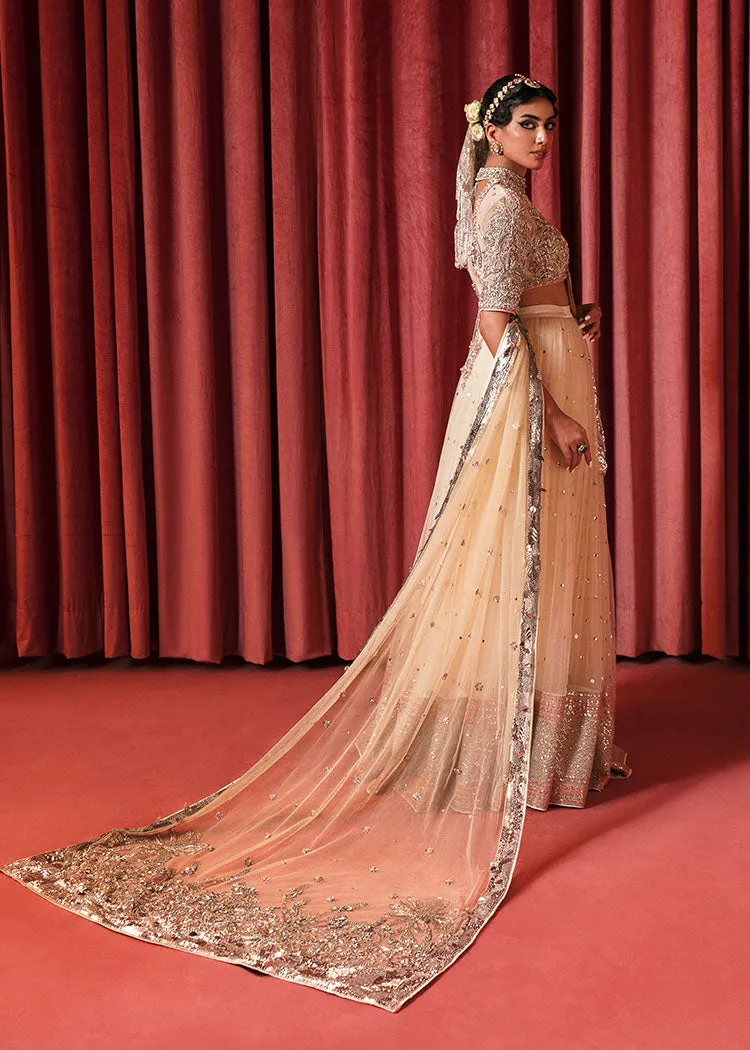Net Lehenga Choli and Dupatta Bridal Dress Pakistani