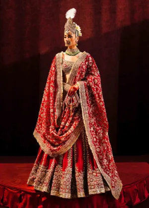 Red Bridal Lehenga Choli and Dupatta Wedding Dress