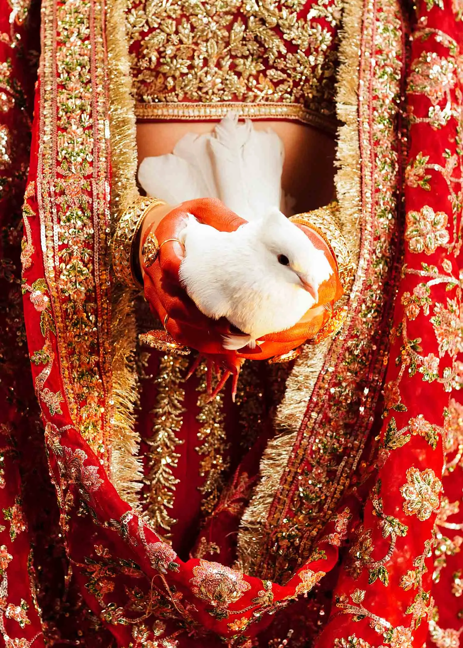 Red Bridal Lehenga Choli and Dupatta Wedding Dress