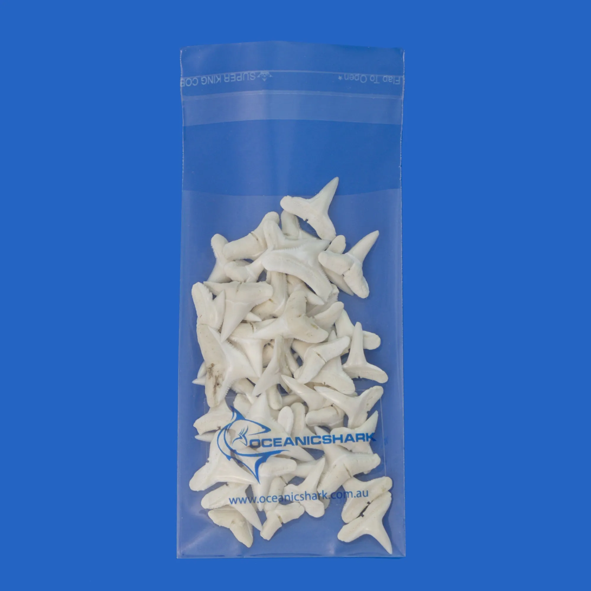 Shark Teeth LT2