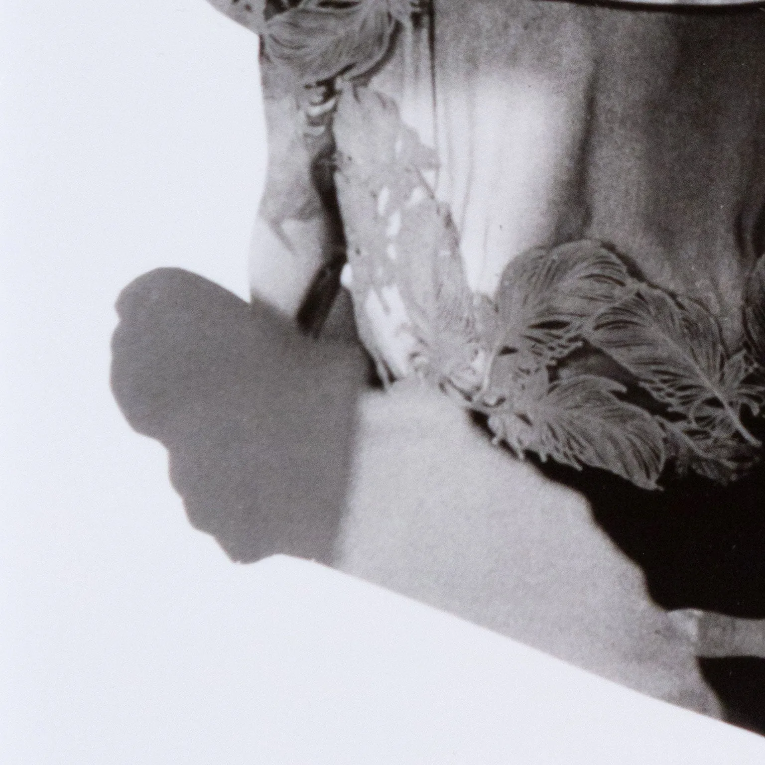 SHERRIE LEVINE “PRESIDENT PROFILE” 1979