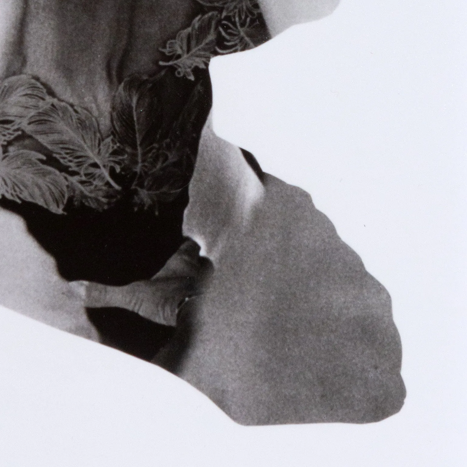 SHERRIE LEVINE “PRESIDENT PROFILE” 1979