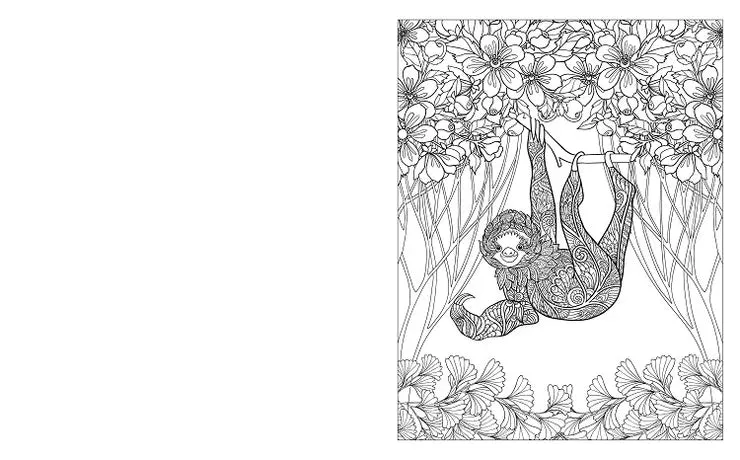 The Jungle Colouring Book