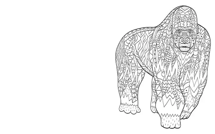 The Jungle Colouring Book