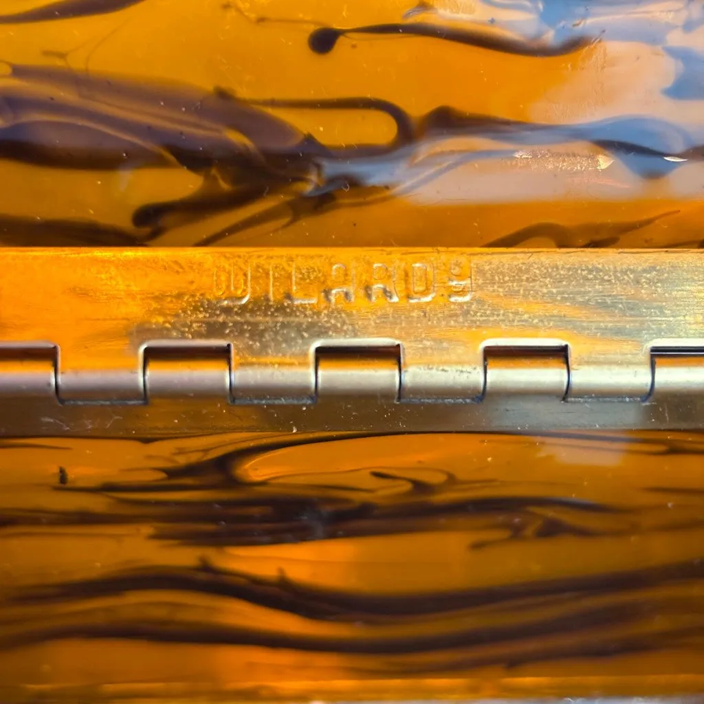 Vintage Wilardy Lucite Tortoiseshell Purse (1133b)