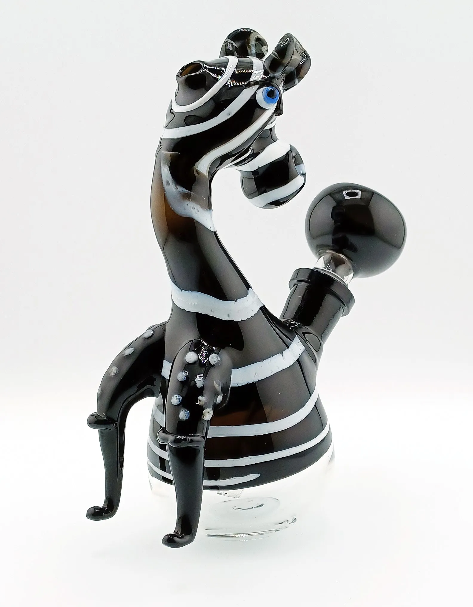 Wild and wacky Zebra